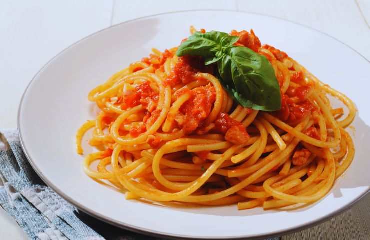 bucatini amatriciana in un piatto