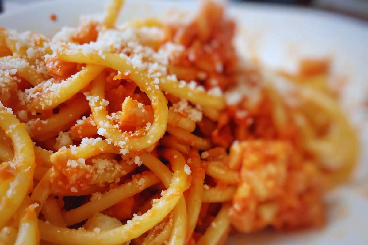 bucatini amatriciana in un piatto 